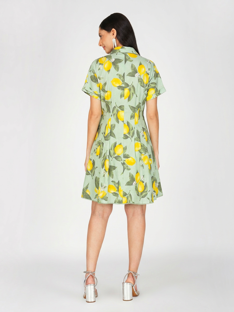 Amalfi Tapered Shirt Dress