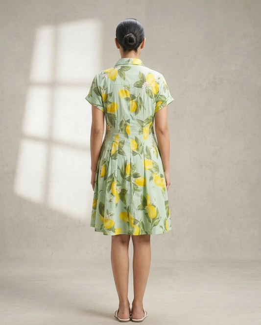 Amalfi Tapered Shirt Dress